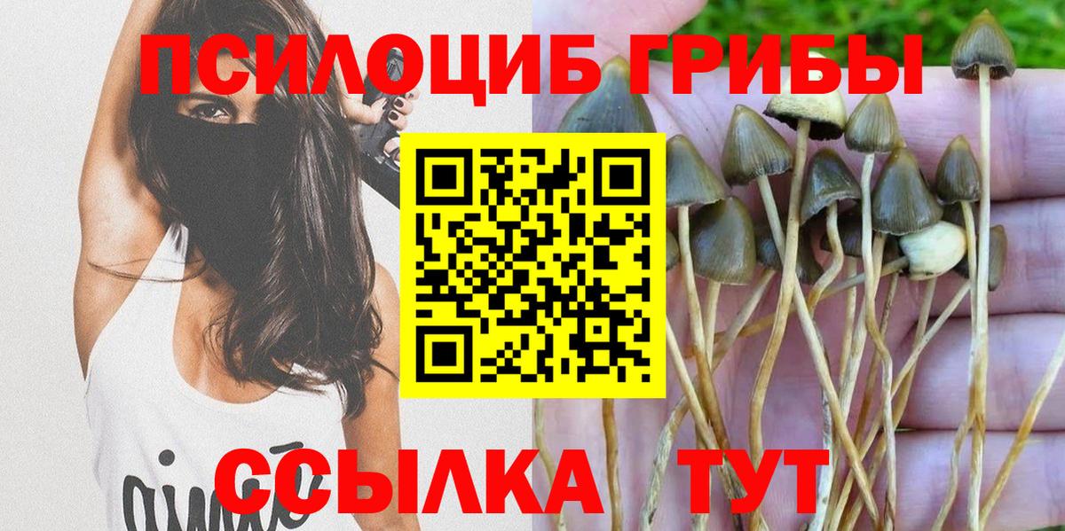 Псилоцибиновые грибы ЛСД Белогорск