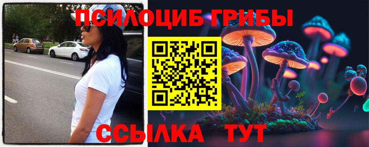 Галлюциногенные грибы GOLDEN TEACHER  Вход с VPN  Галлюциногенные грибы Psilocybe  Белогорск 
